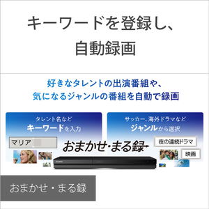SONY HDD内蔵ブルーレイレコーダー(1TB) BDZ-ZW1900-イメージ7