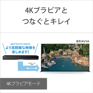 SONY HDD内蔵ブルーレイレコーダー(1TB) BDZ-ZW1900-イメージ8