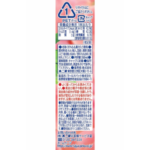 伊藤園 不二家ネクター ネクターピーチ 350mL 24本 FC284PV-イメージ4