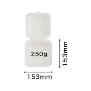 パックスタイル バガス容器 新ABランチ 150-150 50枚 FC370SH-00697878-イメージ2