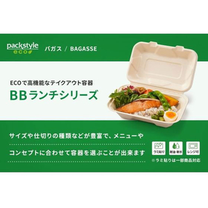 パックスタイル バガス容器 新BBランチ 200-200-3 50枚 FC371SH-00675729-イメージ6