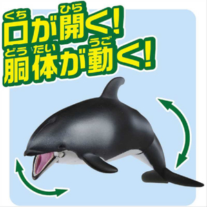 タカラトミー アニア AS-19 カマイルカ(水に浮くVer．) ｱﾆｱAS19ｶﾏｲﾙｶﾐｽﾞﾆｳｸ-イメージ3