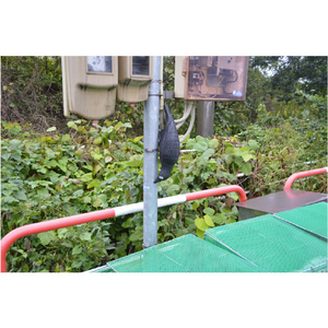 トラスコ 防鳥用　にせカラス　幅１４０×高さ４９０ｍｍ NCRS-イメージ4