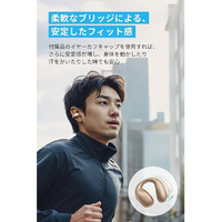 Anker A3331NB1 イヤフォン Soundcore C40i ローズゴールド|エディオン