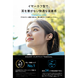 Anker イヤフォン Soundcore C40i ローズゴールド A3331NB1-イメージ2