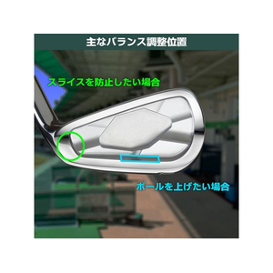 タバタ 薄型ウエイト 50 FCF713U-GV0625-イメージ5