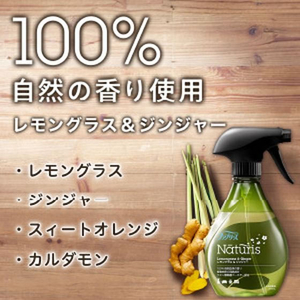 Ｐ＆Ｇ ファブリーズ ナチュリス レモングラス&ジンジャー 詰替 業務用 10L FCB608G-イメージ3