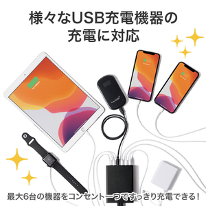 サンワサプライ USB充電器(6ポート・合計12A) ブラック ACA-IP67BK-イメージ7
