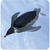 タカラトミー アニア AS-11 コウテイペンギン(水に浮くVer．) ｱﾆｱAS11ｺｳﾃｲﾍﾟﾝｷﾞﾝﾐｽﾞﾆｳｸ-イメージ5