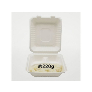 パックスタイル バガス容器 新ABランチ 200-220-3 50枚 FC372SH-00709815-イメージ4