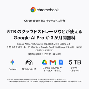 ASUS Chromebook CM15 (CM1505) ミスティグリーン CM1505CM4A-8128GR-イメージ13