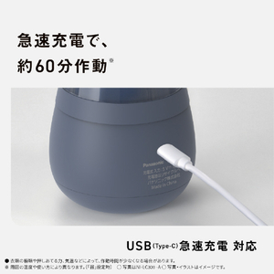 ﾊﾟﾅｿﾆｯｸ 毛玉クリーナー ネイビー NI-LC300-A-イメージ12