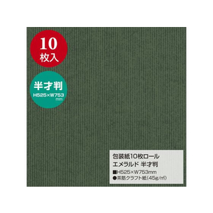 タカ印 包装紙10枚ロール エメラルド 半才判 FC269PM-49-7222-イメージ2
