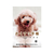 ダイオープリンティング おくすり手帳 犬 40ページ 50冊 F051966-59351-イメージ1