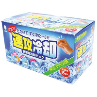 紀陽除虫菊 速攻冷却 5個入 FC094PC-K-2593