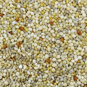 ナチュラルペットフーズ エクセル5 セキセイインコ 皮付き 500g ｴｸｾﾙ5ｾｷｾｲｲﾝｺｶﾜﾂｷ500G-イメージ2