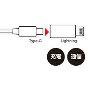 JTT TypeC→Apple変換コネクター ブラック TCIPA-BK-イメージ3