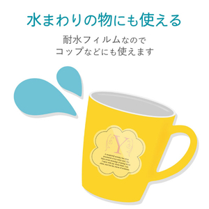 エレコム 耐水・光沢フィルムラベル(透明) はがきサイズ クリアー EDT-FHTCN-イメージ4
