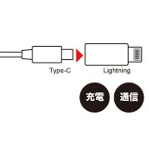 JTT TypeC→Apple変換コネクター ホワイト TCIPA-WH-イメージ3