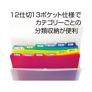 セキセイ アドワン レインボー ドキュメントホルダー 13ポケット A4 FC697NZ-AD-3112-00-イメージ4