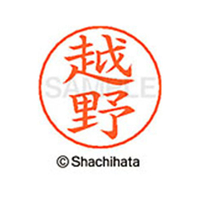 シヤチハタ ネームペン用ネーム シルバー 既製 越野 FC46891-X-GPS-1120