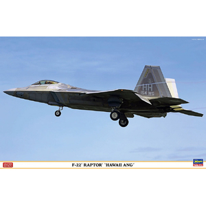 ハセガワ 1/48 F-22 ラプター "ハワイ ANG" 07555F22ラプタ-ハワイANG ハセガワ 1/48 F-22 ラプター "ハワイ ANG" 07555F22ラプタ-ハワイANG