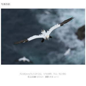 SONY Eマウント用レンズSEL600F63GM SEL600F63GM-イメージ10