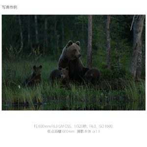 SONY Eマウント用レンズSEL600F63GM SEL600F63GM-イメージ12