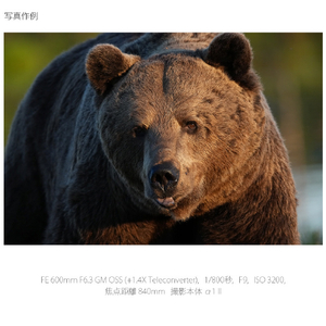 SONY Eマウント用レンズSEL600F63GM SEL600F63GM-イメージ15