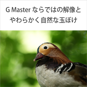 SONY Eマウント用レンズSEL600F63GM SEL600F63GM-イメージ5