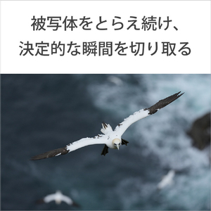SONY Eマウント用レンズSEL600F63GM SEL600F63GM-イメージ7
