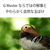 SONY Eマウント用レンズSEL600F63GM SEL600F63GM-イメージ5