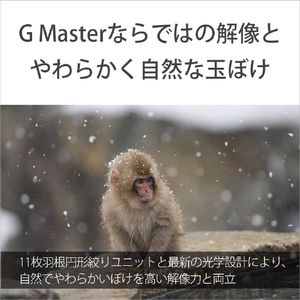 SONY Eマウント用レンズSEL100400MC SEL100400MC-イメージ3