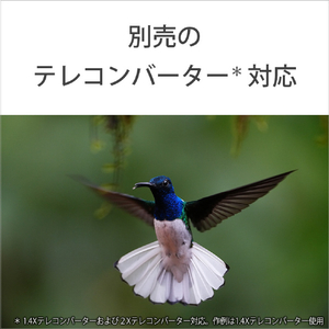 SONY Eマウント用レンズSEL100400MC SEL100400MC-イメージ6