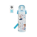 スケーター 超軽量ダイレクトステンレスボトル 580ml アナと雪の女王24 FC089PZ-SDC6N