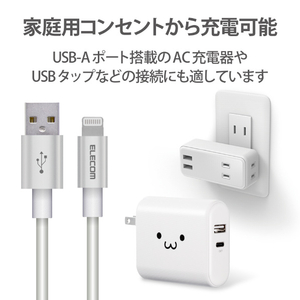 エレコム 耐久仕様Lightningケーブル 1．0m シルバー MPA-UALPS10SV-イメージ6