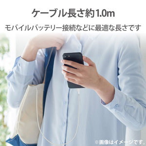 エレコム 耐久仕様Lightningケーブル 1．0m シルバー MPA-UALPS10SV-イメージ8