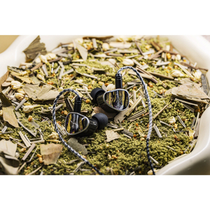 Kiwi Ears イヤホン Etude KWI038-イメージ14
