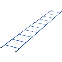 トーエイライト TOEI LIGHT トーエイライト/スピードラダー 4m 固定式 FCG302Z-G1871