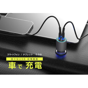 カシムラ DC／USB 2ポート 60W PD30W×2 FCK609D-DC064-イメージ4