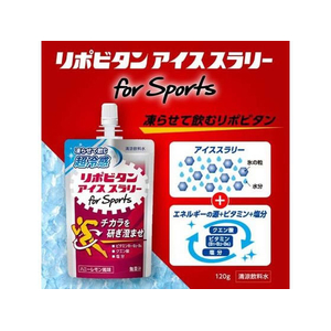 大正製薬 リポビタン アイス スラリー Sports 120g×6個 FCB240N-イメージ2
