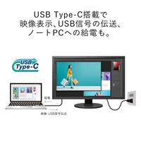 EIZO ブラックディスプレイ 本体 EIZO ディスプレイ 本体 黒