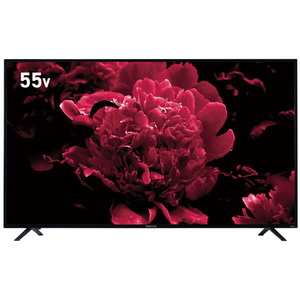 ORION 55型液晶テレビ 本体 OL55RD100 オリオン OL55RD100 55V型4K対応液晶テレビ OLシリーズ ブラック