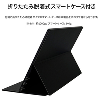 JAPANNEXT JN-MD-IPS1563UHDR-T 15．6型タッチパネル対応液晶