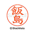 シヤチハタ ネームペン用ネーム シルバー 既製 飯島 FC45908-X-GPS-0137
