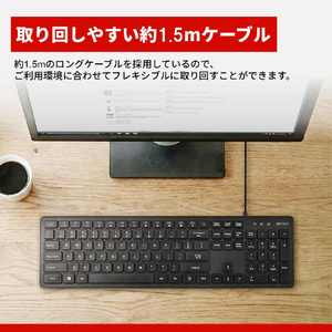 バッファロー USB接続 有線英字配列キーボード ブラック BSKBU110ENBK-イメージ10