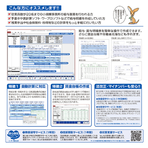 BSLシステム研究所 かるがるできる給料27 給与計算・明細印刷+賃金台帳 シリアル版 かるがるできるシリーズ ｶﾙｶﾞﾙﾃﾞｷﾙｷﾕｳﾘﾖｳ27WC-イメージ2