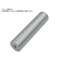 トラスコ中山 TRUSCO/マグネット棒 エコノミータイプ Φ25X200 MG-20-M6-E FCA959G-2428936