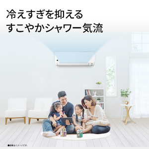 シャープ 「工事代金別」 6畳向け 冷暖房エアコン プラズマクラスターエアコン DGシリーズ AY-U22DGS-イメージ5