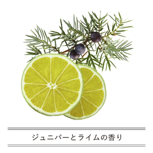 iroha iroha INTIMATE ウォッシュ (135ml) フレッシュ　ジュニパーとライムの香り INTIMATEWASHFRESH135ML-イメージ4